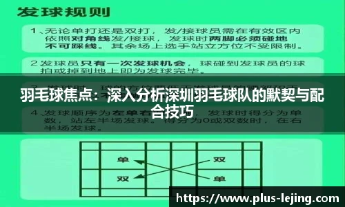 羽毛球焦点：深入分析深圳羽毛球队的默契与配合技巧