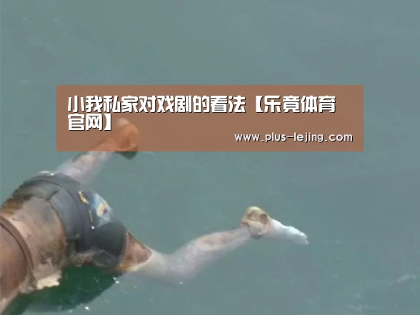 小我私家对戏剧的看法【乐竟体育官网】