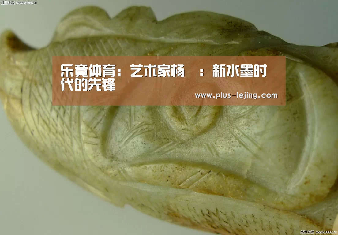 乐竟体育：艺术家杨珺：新水墨时代的先锋