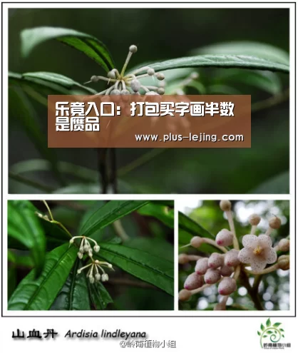 乐竟入口:打包买字画半数是赝品(图2) 乐竟体育赛事