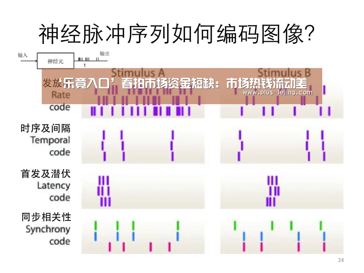 乐竟体育官网